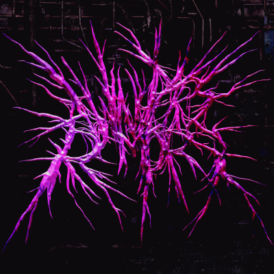 logo A Winter's Remorse